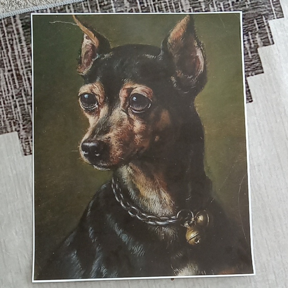 Elegant Black and Tan Dog Portrait
